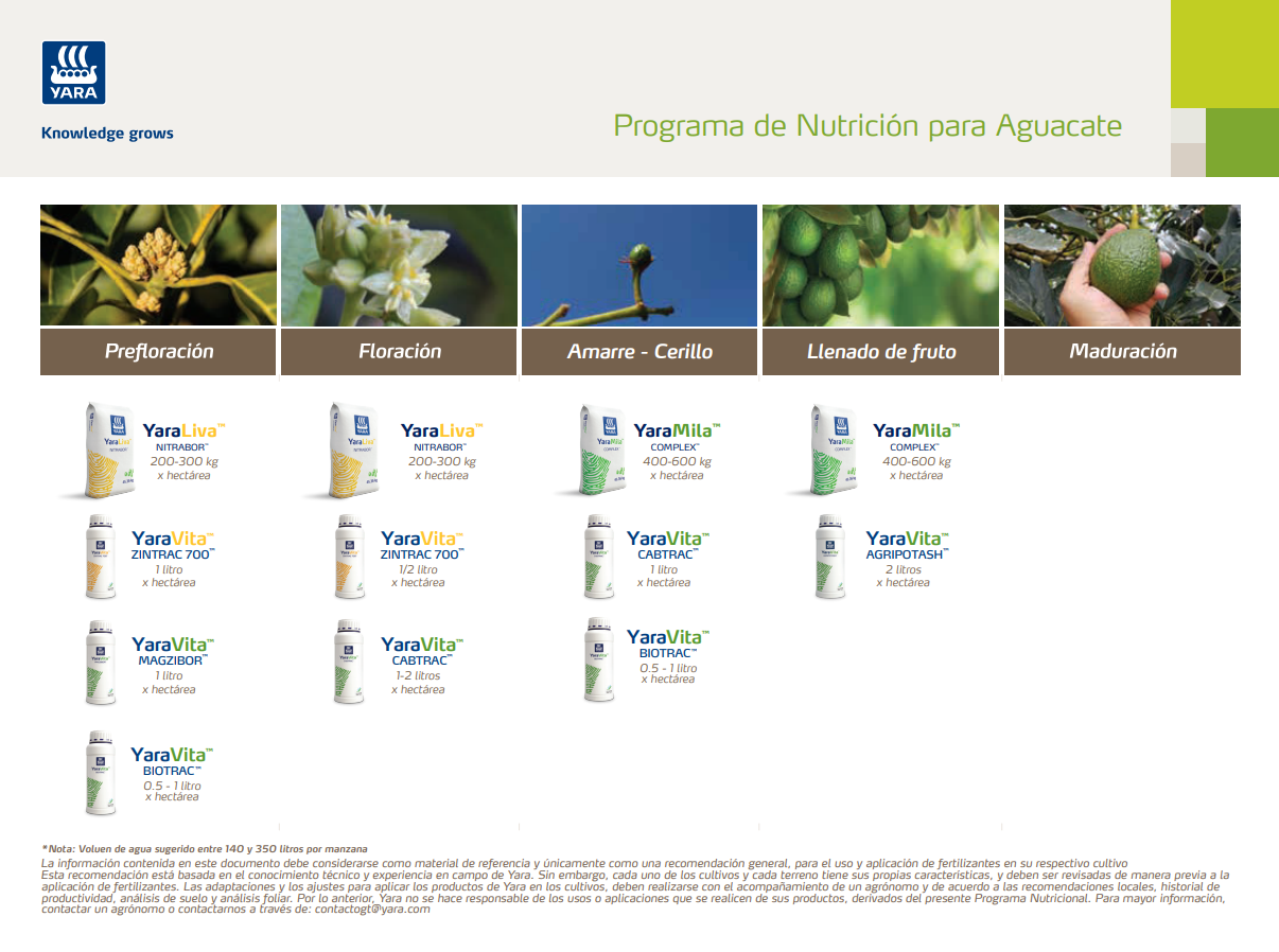 Programa de Fertilización Yara para Aguacate